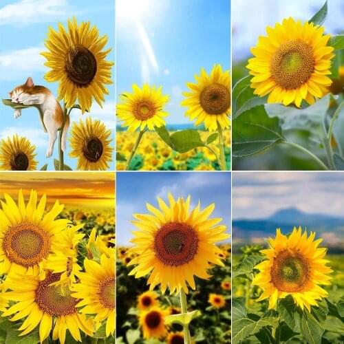 5d Diy Diamond Painting Blue Sky Sunflower Full Circle Diamond Inlay Plant Diamond Mosaic Home Decoration