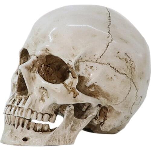 Mini Resin Skull Decoration Gifts Crafts Decoratie Ornaments For Vintage Home Decorations Accessories Decor Figurines Miniature