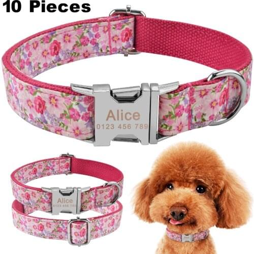 Airuidog Nylon Personalised Dog Collar Custom Engraved Small Medium Large Dogs Puppy Pet Accessories 10 Pieces