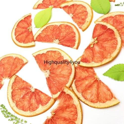 10pcs Dried Pressed Exopy Fruit Grapefruit Slices Plant Herbarium Jewelry Photo Frame Phone Case Craft DIY Making Accessory