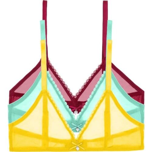 Wire Free Sexy Lace Bra Oversize Ultra Thin See Through Underwear Fashion Comfortable Bralette Lingerie 3PCS/lot CYHWR