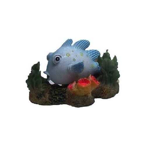 Chicos-Decor Vicinity Fish