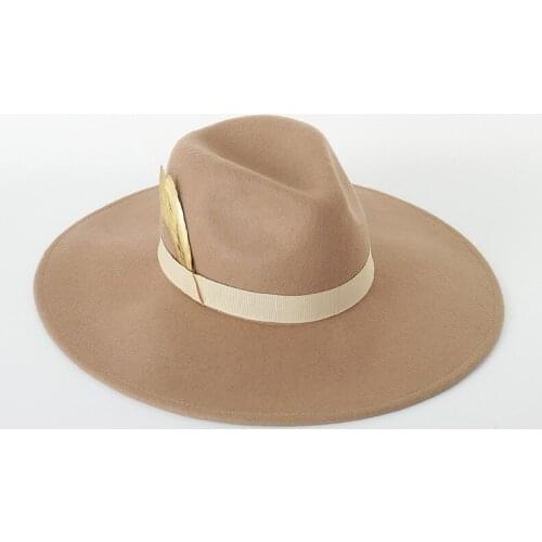 Autumn Winter Feather Fedora Hat for Women Men Wool Felt Wide Brim England Vintage Cap Stage Performance Jazz Fedoras Wholesale