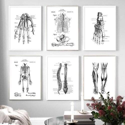 Skeleton Muscle Fingers Eye Black And White Anatomy Wall Art Canvas Painting Nordic Posters And Prints Wall Pictures Decor