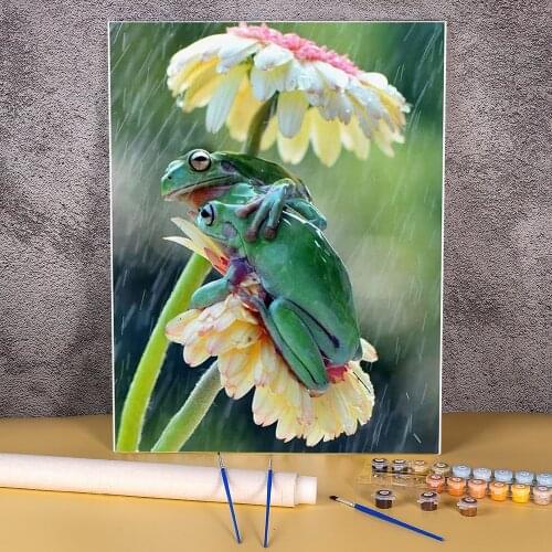 Animal Frog DIY Painting By Numbers Complete Kit Oil Paints 50*70 Picture By Numbers Photo Wall Paintings Adults Drawing