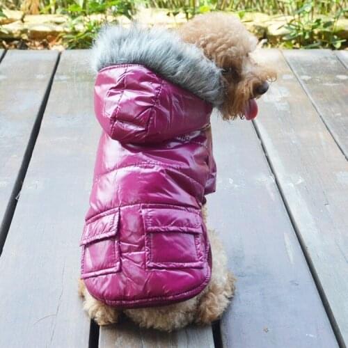 North Dog Jacket and Coat Cotton Winter Face Pet Hoodie Dog Coat/Clothing Pet dog clothes Free Shipping