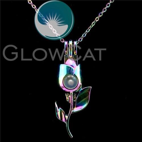 C734 Colorful Women Rose Flower Beads Cage Pendant Essential Oil Diffuser Aromatherapy Pearl Cage Locket Necklace