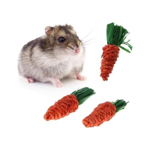 1/3pcs Carrot Shaped Rabbit Hamster Chew Bite Toys Guinea Pig Tooth Cleaning Toys