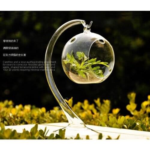 New Glass Flower Vase Hydroponic Terrarium Bottle Candlestick - Hanging Ball
