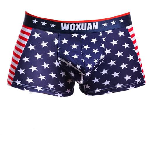 Men Male Underwear Mens Boxer Underwear Bermudas Masculina De Marca Boxer Shorts Underwear Sexy Ondergoed