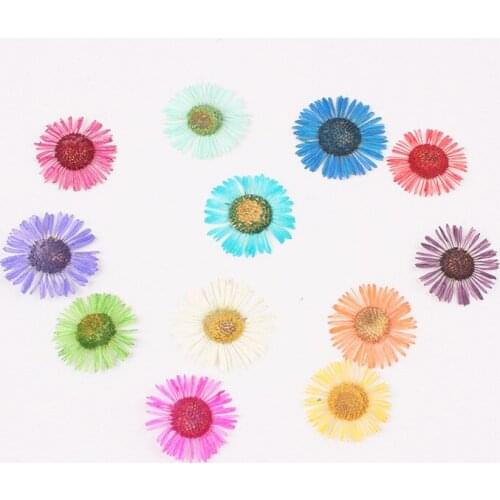 120pcs Pressed Dried Conyza canadensis Filler Flower For Epoxy Resin Jewelry Making Postcard Frame Phone Case Craft DIY