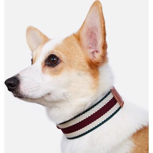 Soft cattle hide knit Dog Pet Collar Adjustable Collar For Smale Medium Large dog cat