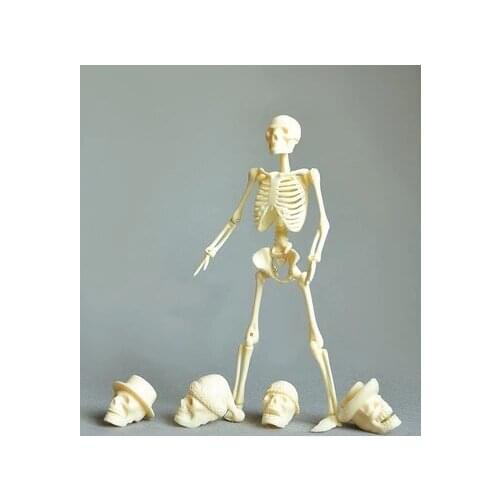 20 cm body skeleton assembly model Bulk packing free shopping