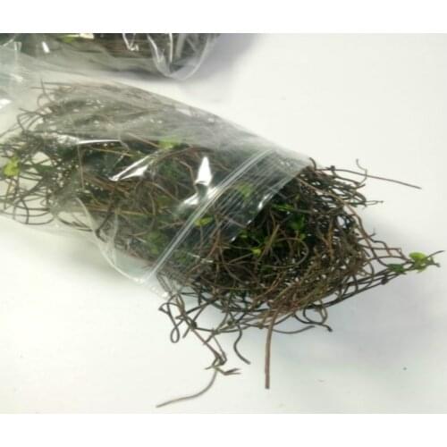 200ml Model Vine Scenery Terrace Reconstruction Of Wisteria Model Making Material Suitable For Diorama