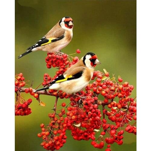JMINE Div 5D bird tree Full Diamond Painting cross stitch kits art High Quality Animal 3D paint by diamonds