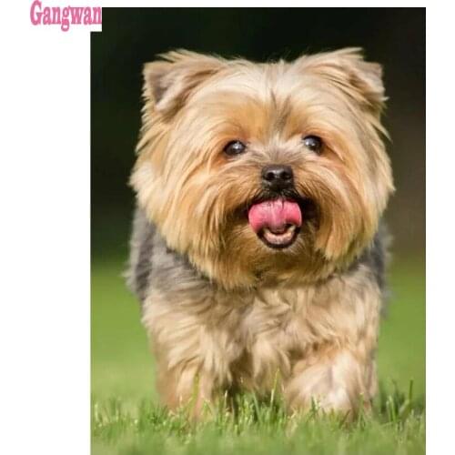 New arrival Embroidery Rhinestone cute pet 5d Diy Diamond Painting Cross Stitch Yorkshire Terrier Dog Full Mosaic kit Home Decor