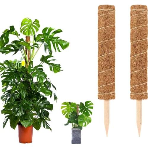 Durable Creative Vine Climbing Frame Coconut Palm Sticks Can Be Extended Floral Decorative Horticultural Plant Support Frame U3