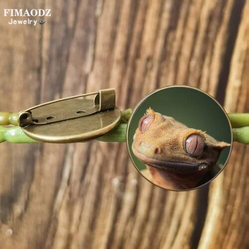 FIMAODZ Eyelash Gecko Brooch Green Iguana Chameleon Maned Lion Lizard Glass Picture Brooches Pin for Pet Lovers Gift Collection