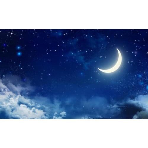 Beautiful night sky crescent ceiling mural Ceiling Murals Wall Art Painting Living Room Bedroom Ceiling Backdrop Wallpaper