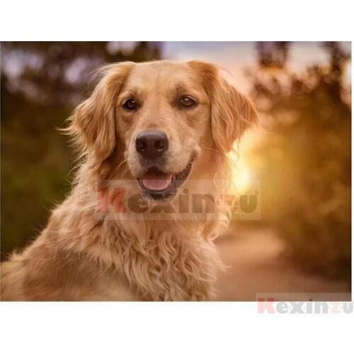 Kexinzu Full 5D DIY Square/Round Drill Diamond Painting "Animal Dog" 3d Diamond Embroidery Cross Stitch Decor Gift Ke47