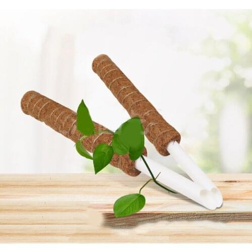 Plant Climbing Pole Coir Moss Stick Coir Moss Palm Vines Stick Plant Support Safe Gardening Climbing Plants Vin