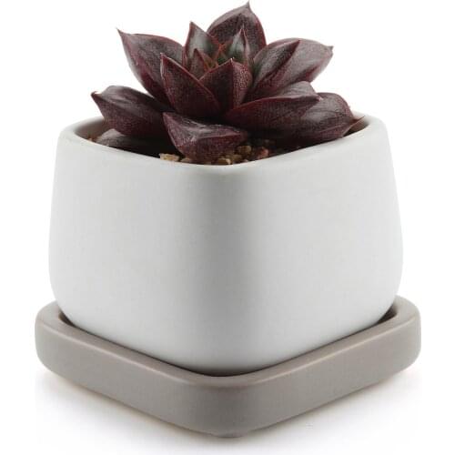 Ceramic Modern Mini Square Succulent Plant Pot Cactus Plant Pot Container With Grey Tray Matte White