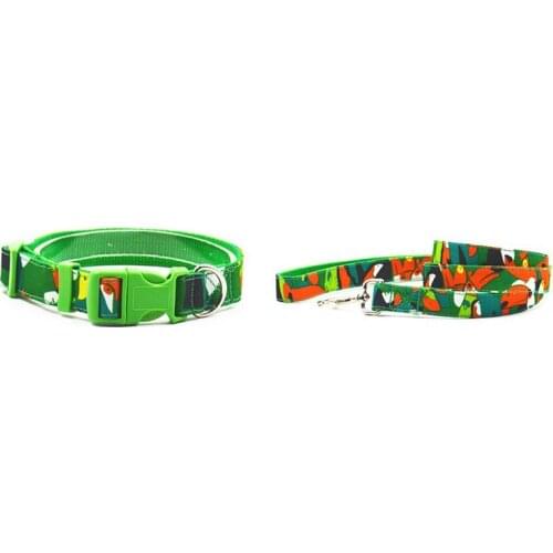 Nylon Toucan Style Collar Leash Blue Green Color Dog Collar Lead Dog Pet Collar Lead For Small Medium-Size Dog Adjustable S L