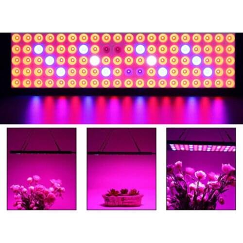 CASTNOO LED Plant Lamps