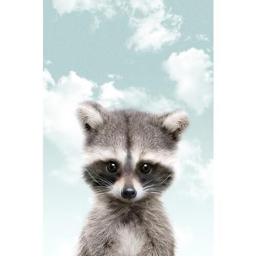 Tamtam Store Little Raccoon for Children Matte Photo Paper Blue Background 30x40 cm