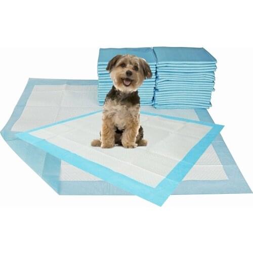 Absorbent Pet Diaper Dog Training Pee Urine Pads Healthy Clean Thickening Toilet Wet Mat For Pets Dog Cats Dairy Diaper Supplies