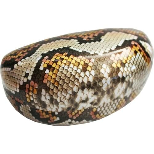 Sunglasses Case Copper Snake Snake Python Anaconda Python Cobra Reptile L