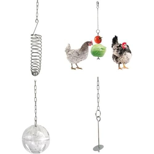 Stainless Steel Bird Hanging Feeder Chicken Hen Food Holder Dispenser Parrot Veggies Fruit Treat Skewer Birds Pet Foraging Toy