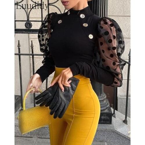 Women Polka Dot Print Mesh Puff Sleeve Button Decor Blouse Top