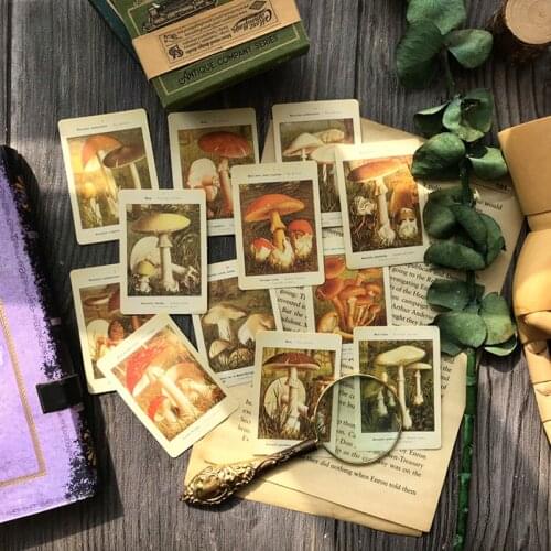 Retro Mushrooms English Illustrated Handbook Sticker DIY Junk Journal Scrapbook Travel Diary Happy Planner Decorative Sticker