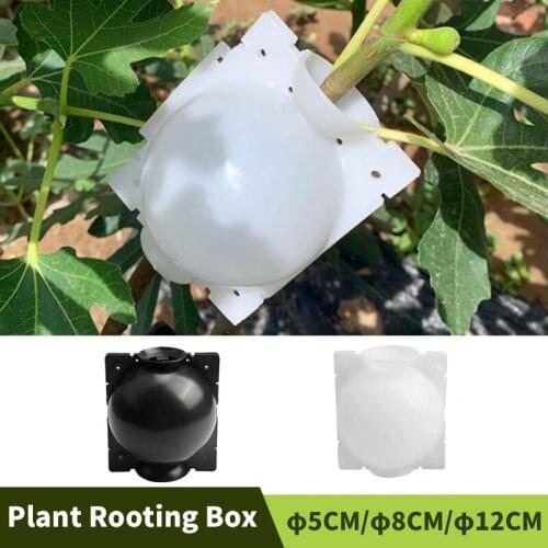 5pcs Plant Root Growing Box Plant Rooting Ball Plant Propagation Grafting Ball Garden Plant Rooting Device High Pressure Box