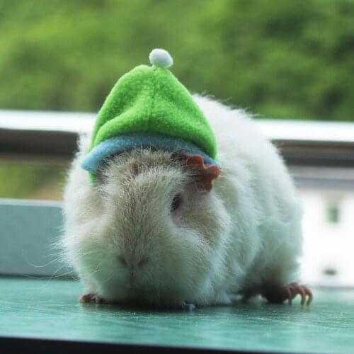 Hamster hat Guinea pig Hat My Neighbor Totoro Dress Up Christmas Hat Pet Rabbit Costume Hat Squirrel Hat