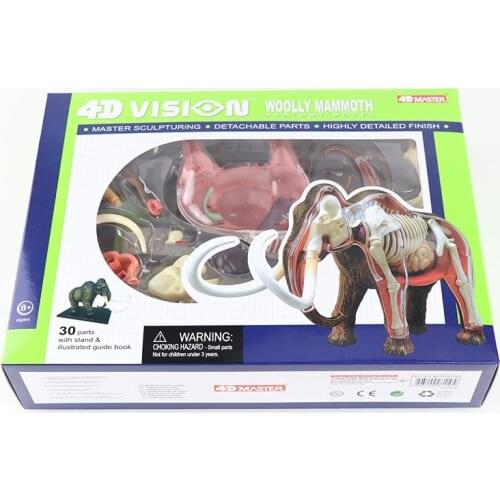 Mammoth Teaching Model 4D MASTER Puzzle Assembled Toy Animal Organ Anatomy Medicine