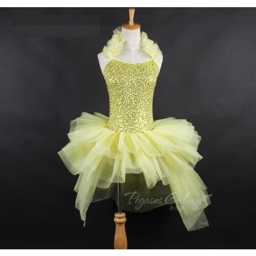 X2029 Girls Stage Costumes Practice Performance Wear Professional Ballet Tutu Dress Professional Ballet Tutu Ballet Leotards