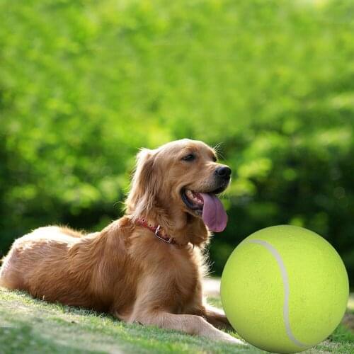 Interactive Toy Dog 1 Pc 24cm Giant Tennis Ball For Pet Chewtoy Big Inflatable Supplies Outdoor Toys Sporty Wholes Outdoor Toys