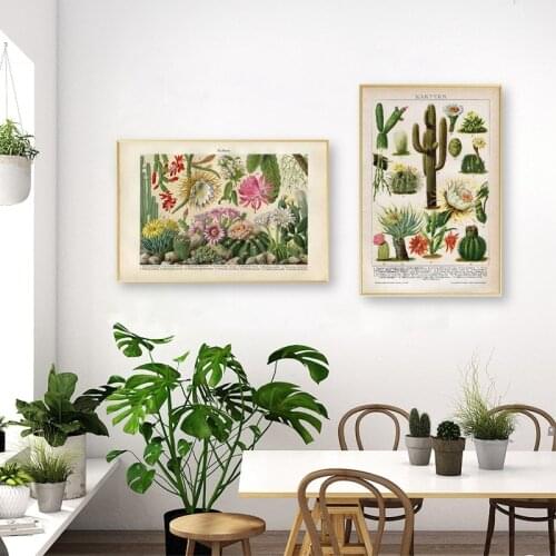 Cactus Flowers Desert Plants Succulents Posters and Prints Botanical Wall Art Canvas Painting Educational Wall Pictures Decor
