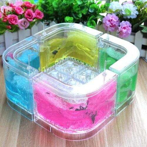 Ants House Art Habitat Funny Ant Nest Decoration Pet Toy Colorful Specially Acrylic Ant Farm Transparent Feeding Area