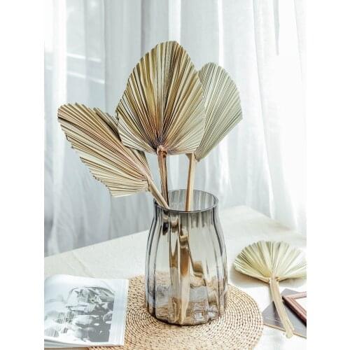 1pc Dried Tree Leaves Natural Dried Flower Palm Leaf Fan Plant Palm Home Garden Wedding Party Living Bedroom Table Decoration