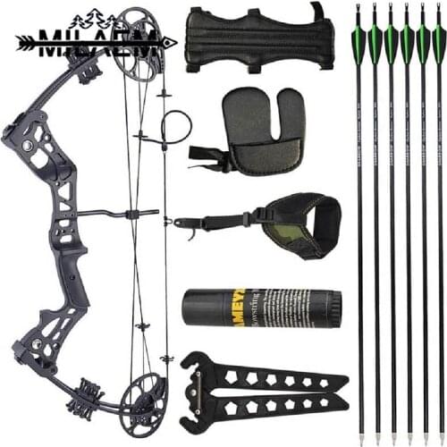 Archery Compound Bows and Arrow Set Beginner 15-45 lbs Draw Weight 18-29 '' Draw Length Adjustable Right Target Hunting Practice