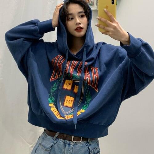 Oversized Women Blue loose Short Sweatshirt Hood Easy Matching Top Pink Female Hooded Warm Spring and Autumn Coat Women Jacket