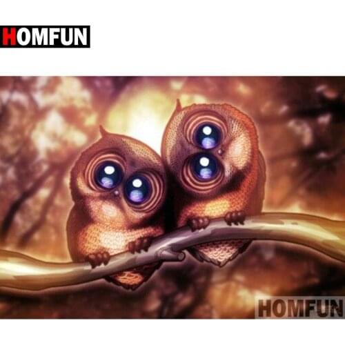 HOMFUN Full Square/Round Drill 5D DIY Diamond Painting "Cartoon owl" Embroidery Cross Stitch 5D Rhinestone Home Decor A17640