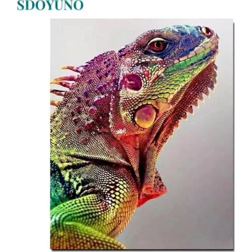 SDOYUNO 60x75cm Painting By Numbers Chameleon DIY Paint By Numbers Kits For Adult Frameless Animals Digital Painting On Canvas