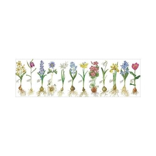 Flower_Bulb_Sampler Needlework,For Embroidery,DIY 14CT Unprinted Arts Cross stitch kits Set Cross-Stitching Home Decor