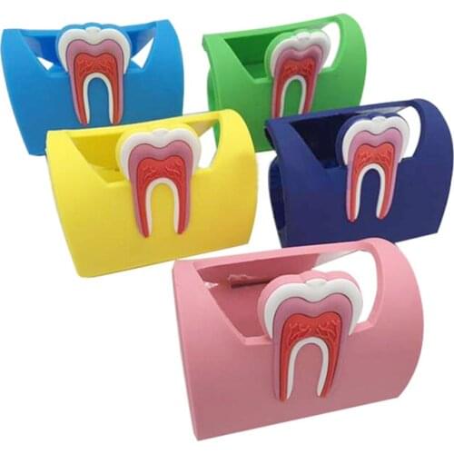 5pcs/lot Dental Cute Name Card Holder Rubber Teeth-Shape Molar Shaped Phone Display Storage Stand for Dental Clinic Dentist Gift