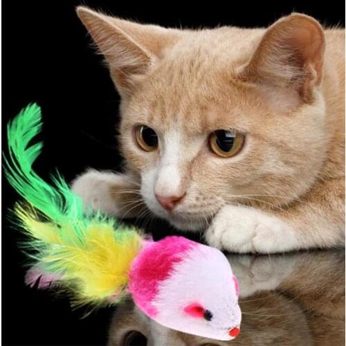 Cat Toy Rat Mouse Funny Chewing Toy Cute Multicolor Cat Interactive Feather Toys Pet Accessories Gifts for Pets Cats Dogs