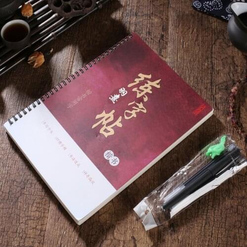 3D Chinese Characters Reusable Groove Calligraphy Copybook Erasable pen Learn hanzi Adults Art writing books